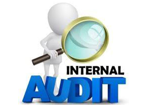 internal-audit
